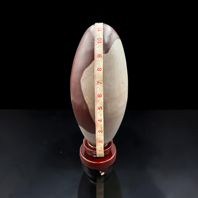 Narmada Shiva Lingam