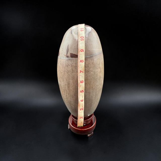 Narmada Shiva Lingam