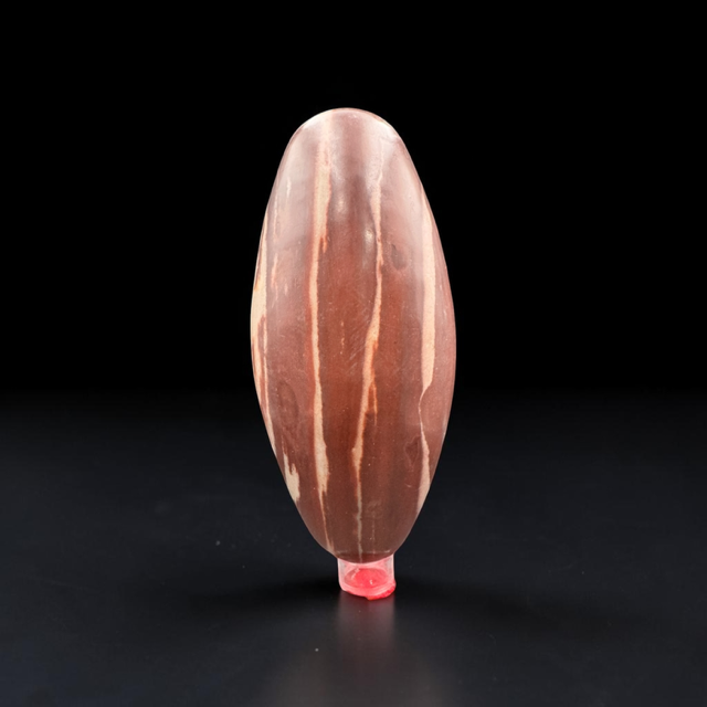 Narmada Shiva Lingam