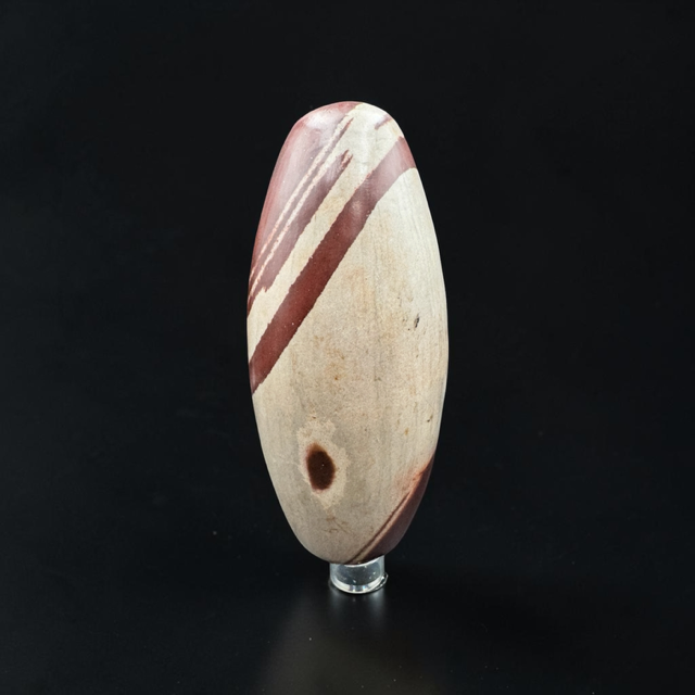 Narmada Shiva Lingam