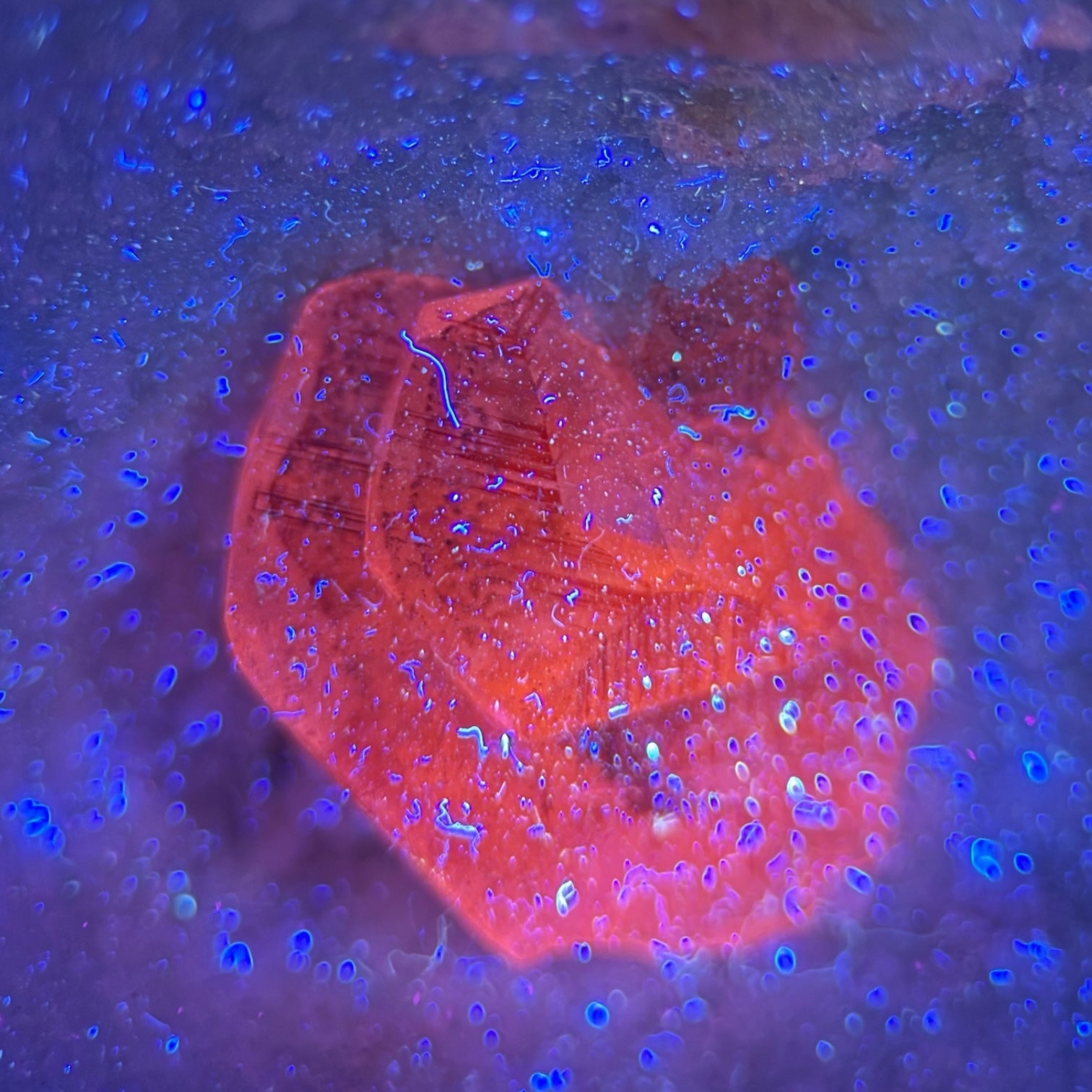 Orange UV Calcite