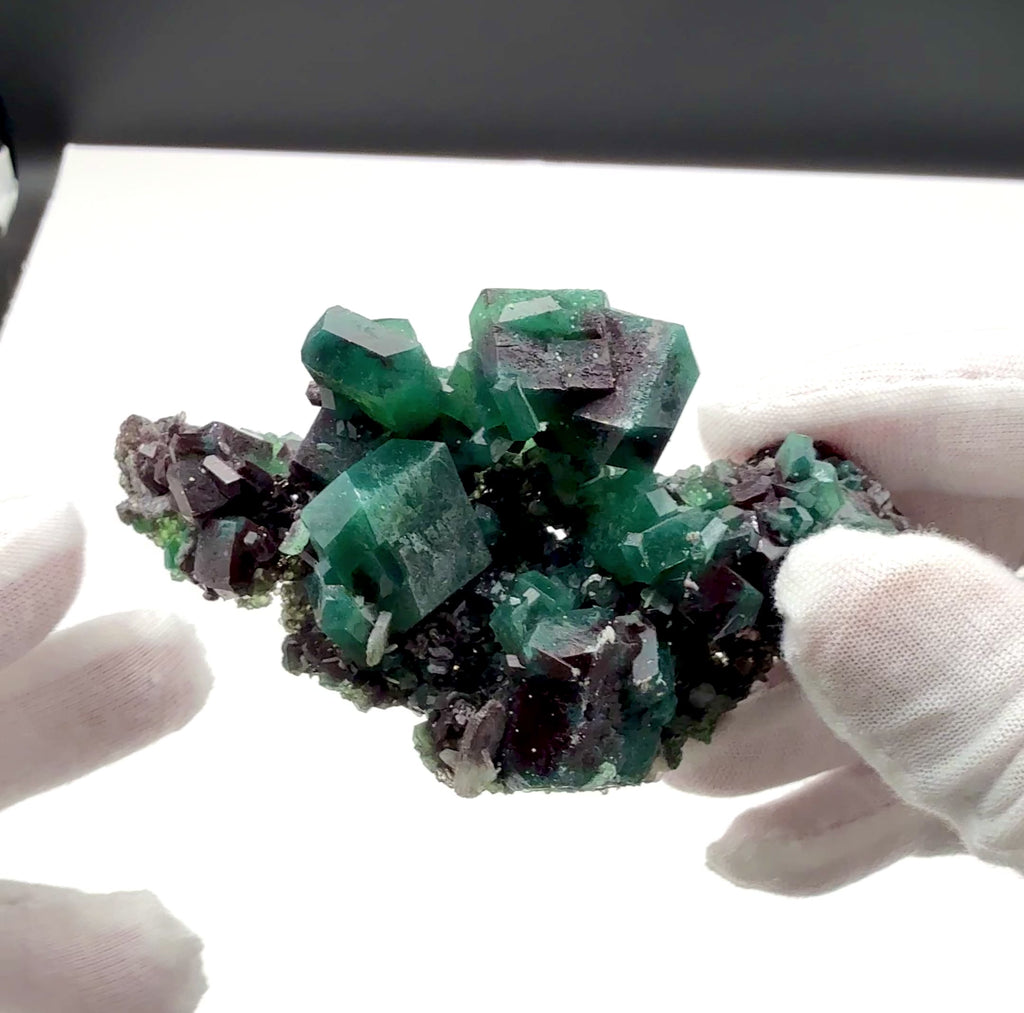 Apophyllite Marshy Green