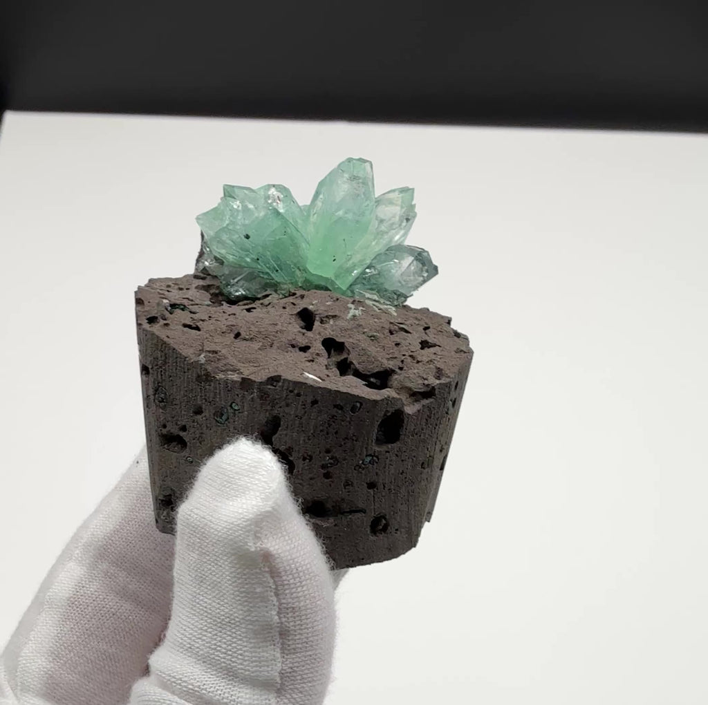 Cupcake Green Apophyllite on Basalt