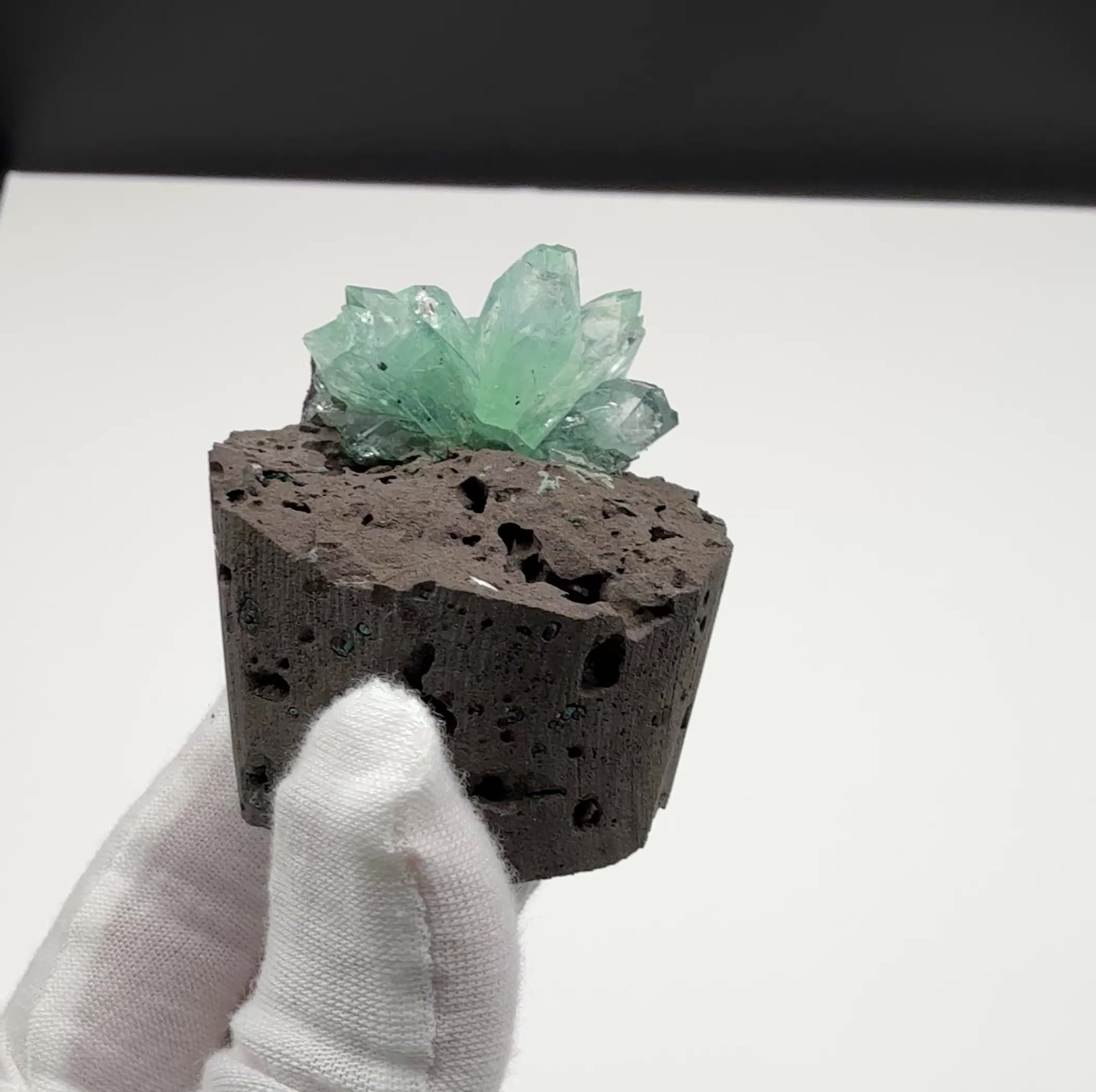 Cupcake Green Apophyllite on Basalt